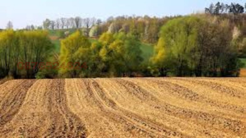 Продава ЗЕМЕДЕЛСКА ЗЕМЯ, с. Дебрене, област Добрич