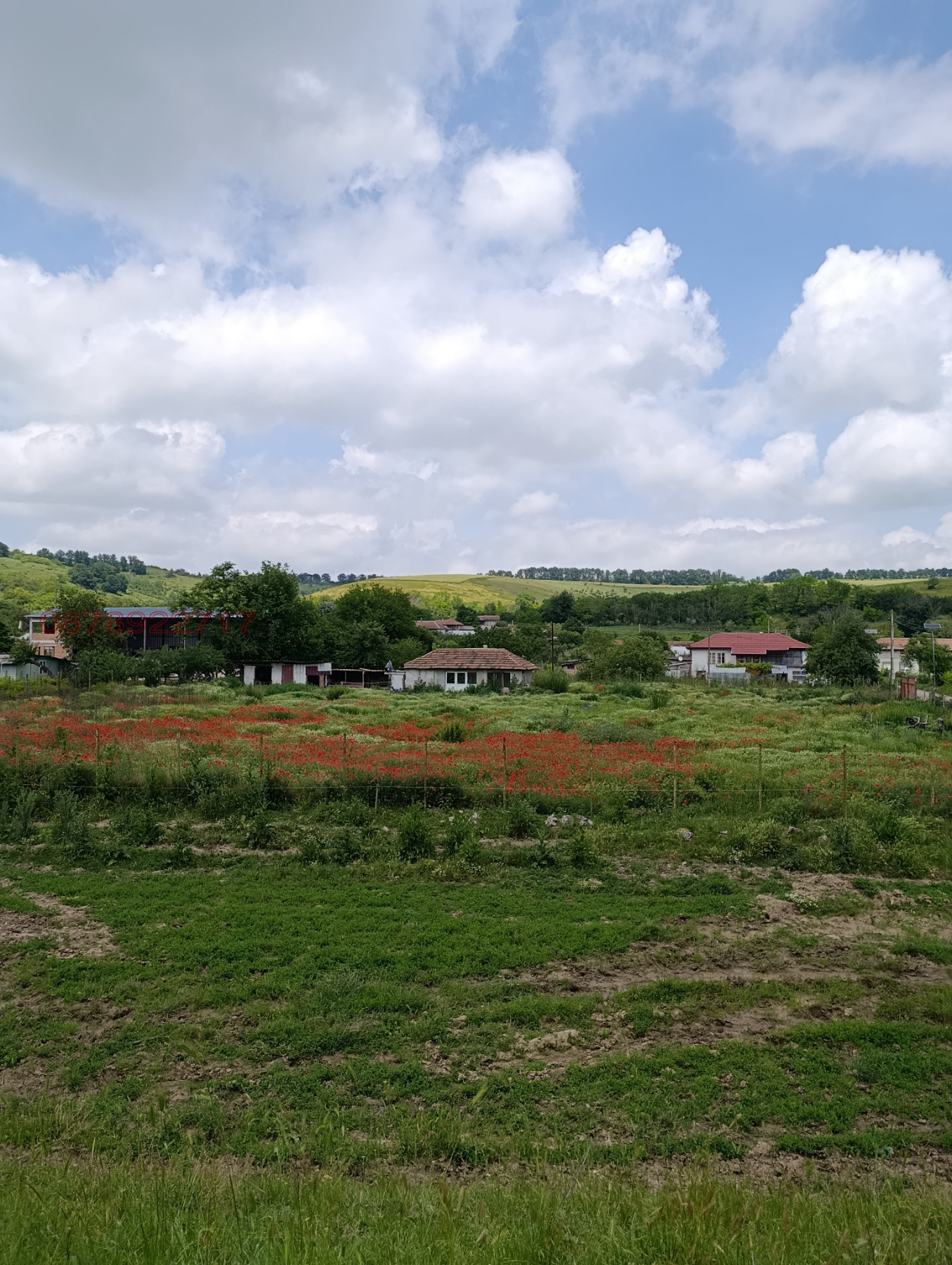 Продава ПАРЦЕЛ, с. Кайнарджа, област Силистра, снимка 2 - Парцели - 54863759