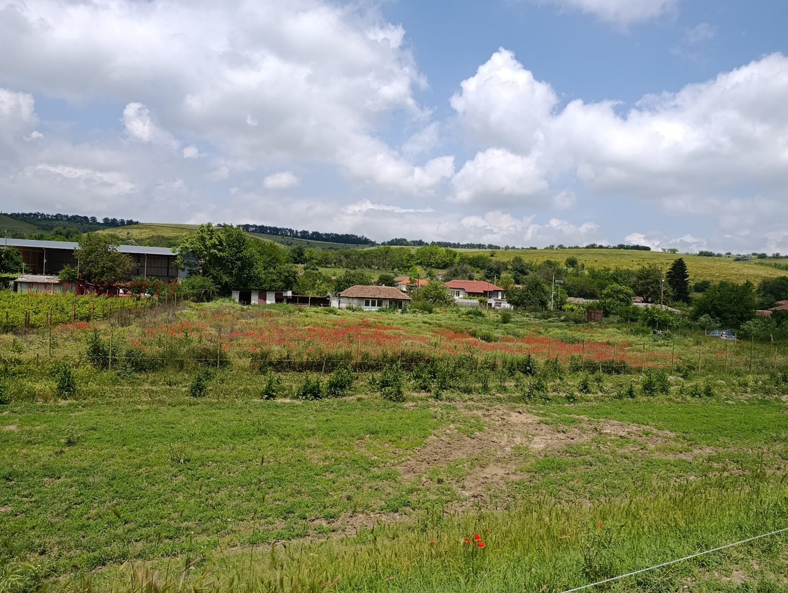 Продава ПАРЦЕЛ, с. Кайнарджа, област Силистра, снимка 6 - Парцели - 54863759