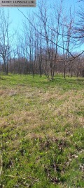 Продава ПАРЦЕЛ, с. Опан, област Стара Загора, снимка 2