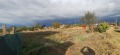 Продава ПАРЦЕЛ, област Пловдив, с. Момино село • 61200 € • 16470158 7