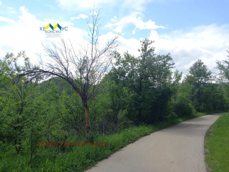 Продава ПАРЦЕЛ в област Ловеч, с. Баба Стана - 3750 кв.м / 105 837 € » 206 999.18 лв., ХЕМУС КОНСУЛТ ЕООД