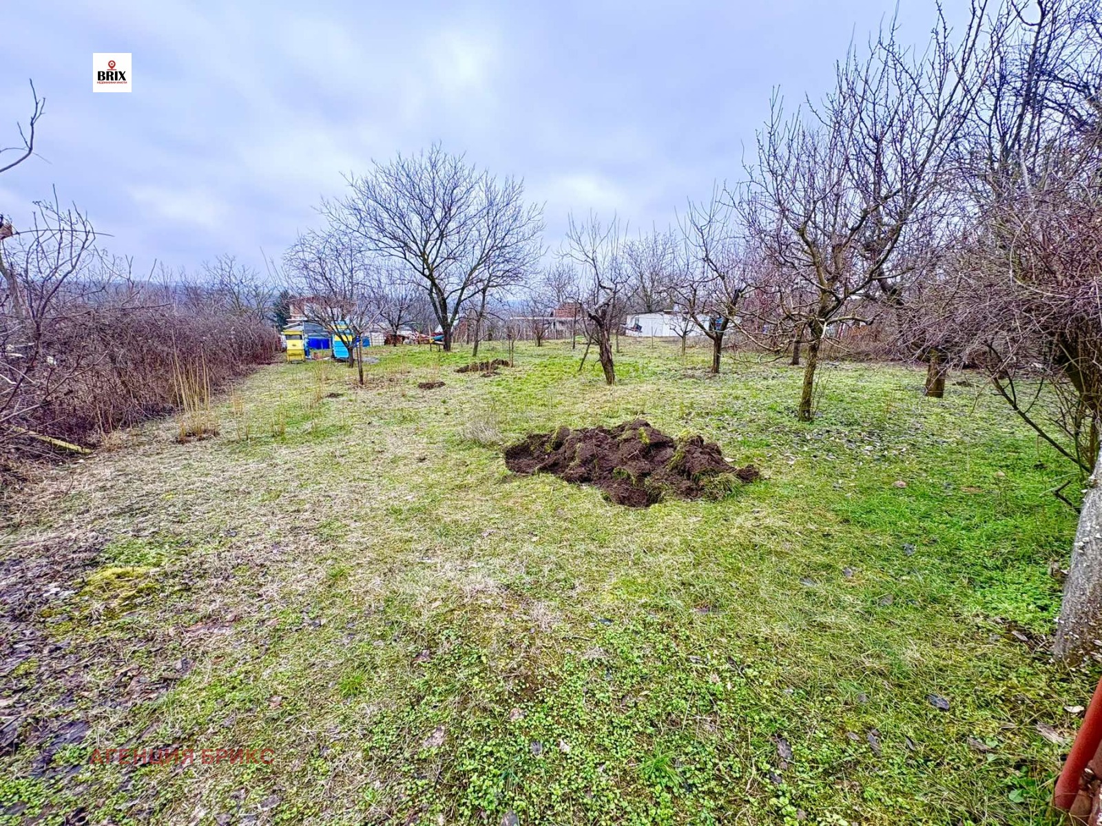 ������� ������ | Imot.bg � ����������� 1