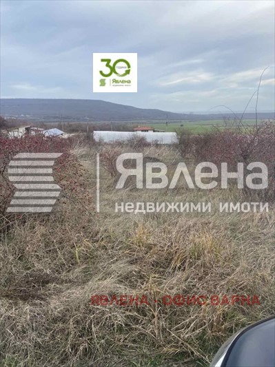 Till salu  Komplott region Dobrich , Rogatjevo , 1418 kvm | 53763321 - bild [2]