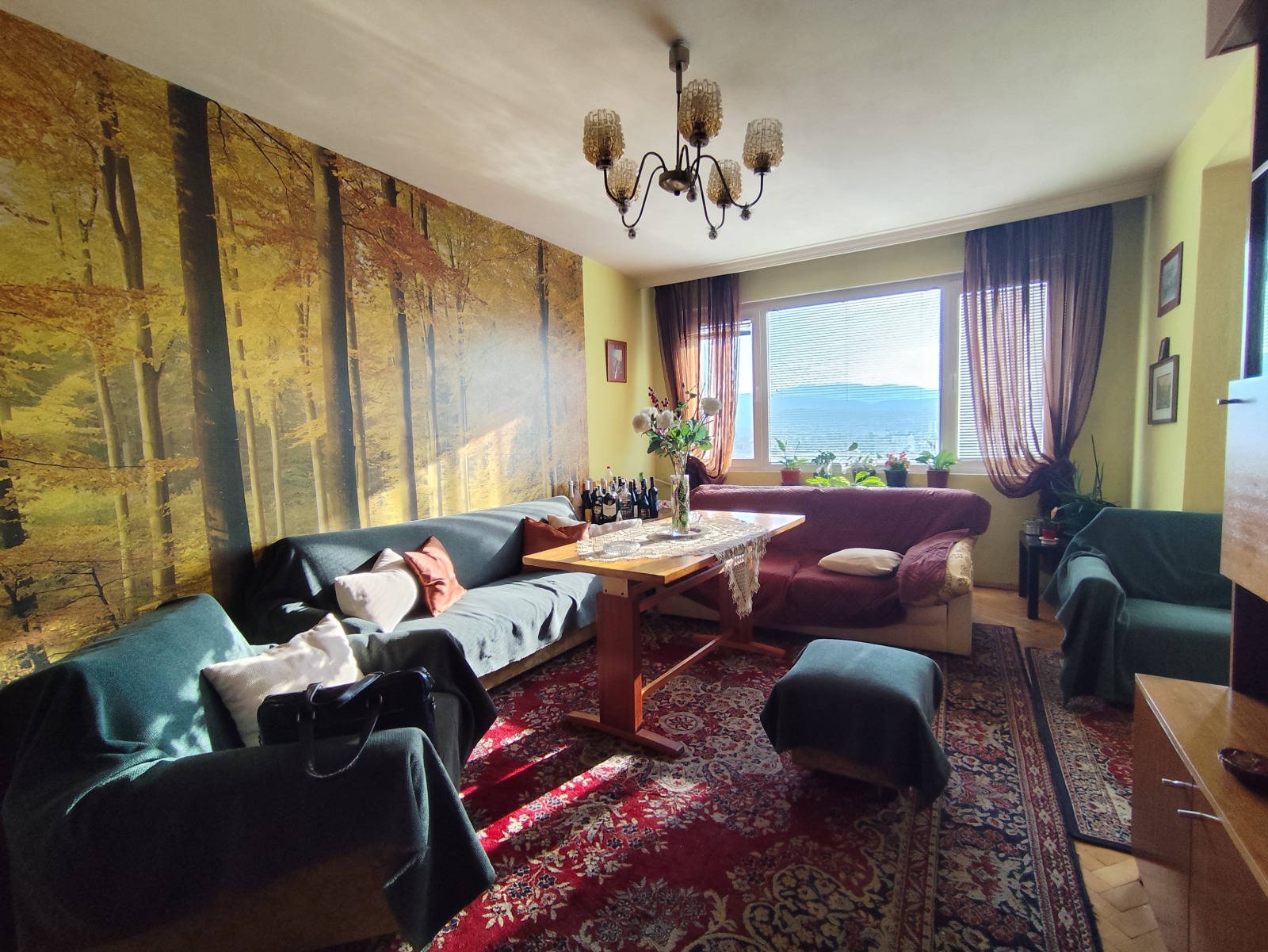 Продава 3-СТАЕН, гр. София, Бъкстон, снимка 3 - Апартаменти - 55009176