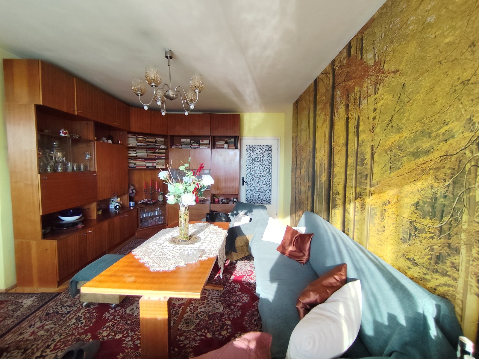 Продава 3-СТАЕН, гр. София, Бъкстон, снимка 12 - Апартаменти - 55009176