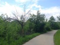 Продава ПАРЦЕЛ, област Ловеч, с. Баба Стана • 207000 лв. / 105837.42 € • 24273930 1
