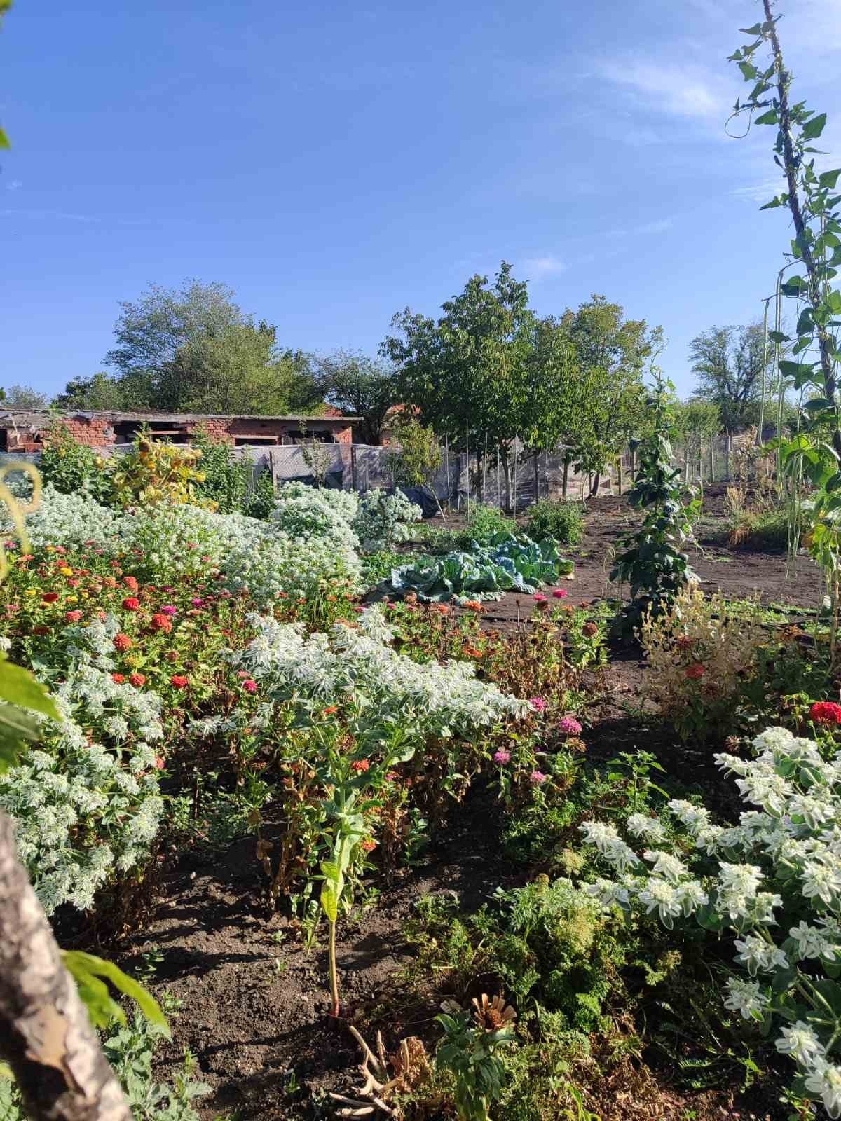 Продава КЪЩА | Imot.bg — изображение 1