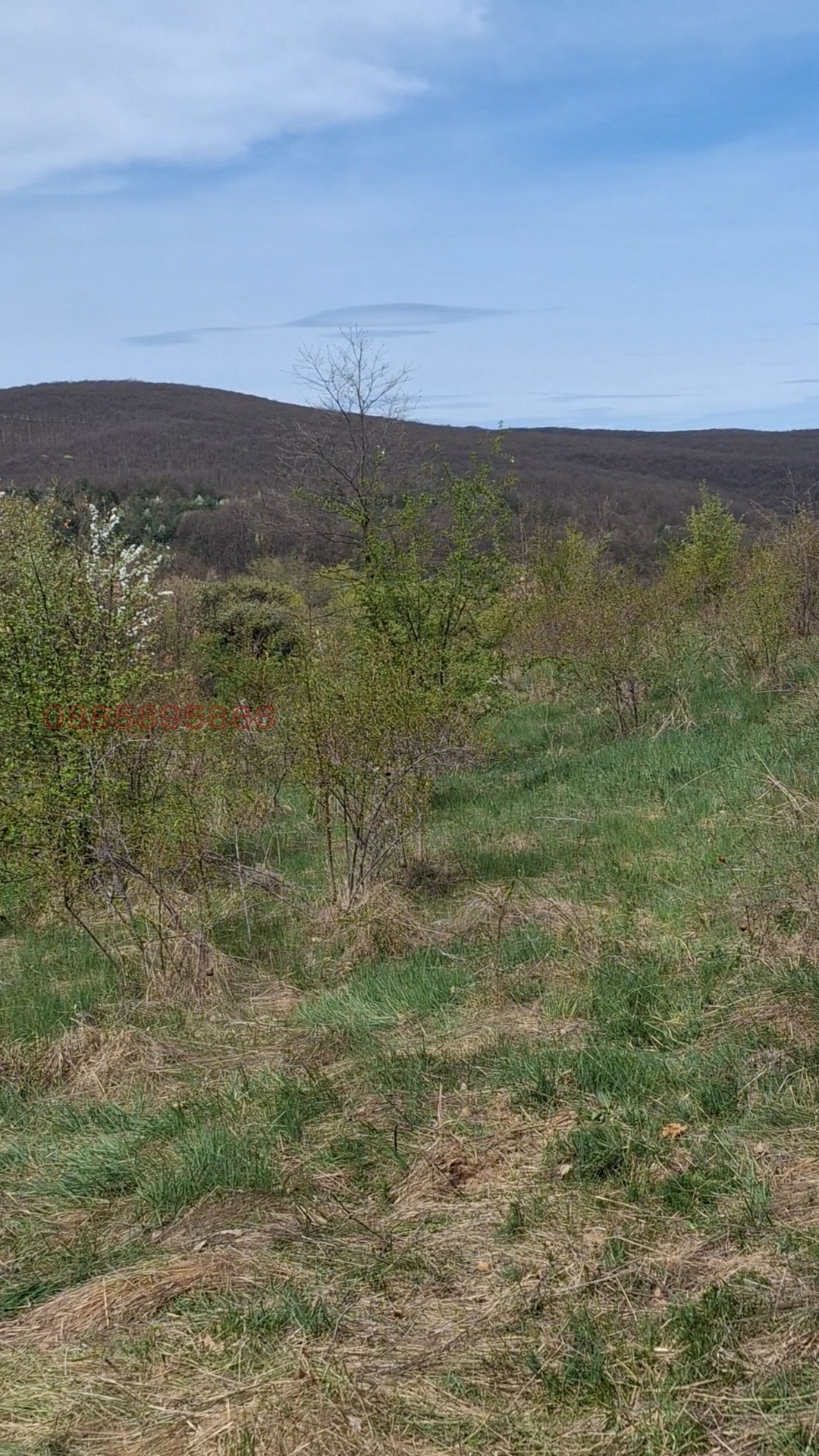 ������� ������ | Imot.bg � ����������� 10