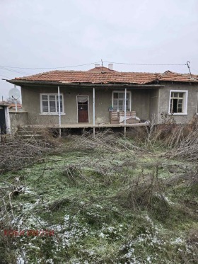 ����� ������� ����,�. ����� ������, ������ �������