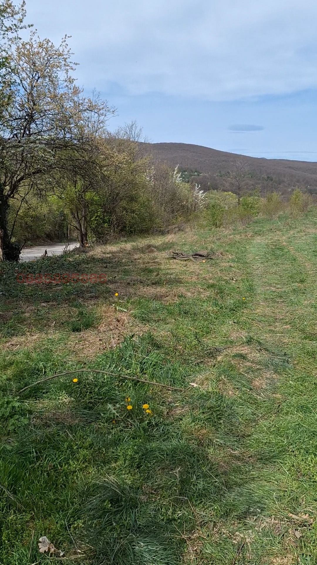 Продава ПАРЦЕЛ, с. Крушовица, област София област, снимка 8 - Парцели - 54262639