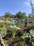 Продава КЪЩА, област Бургас, с. Трояново • 45000 € • 80730171 — Holmes.bg