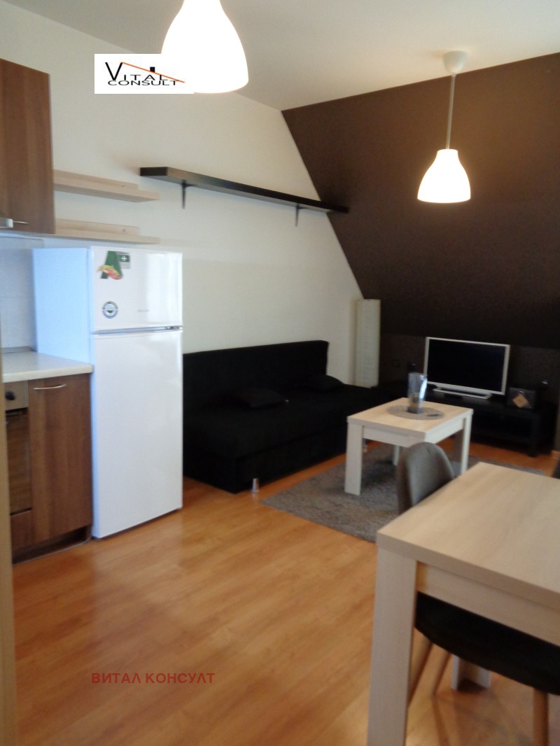 Продава АТЕЛИЕ, ТАВАН, гр. София, Борово, снимка 3 - Апартаменти - 52359514