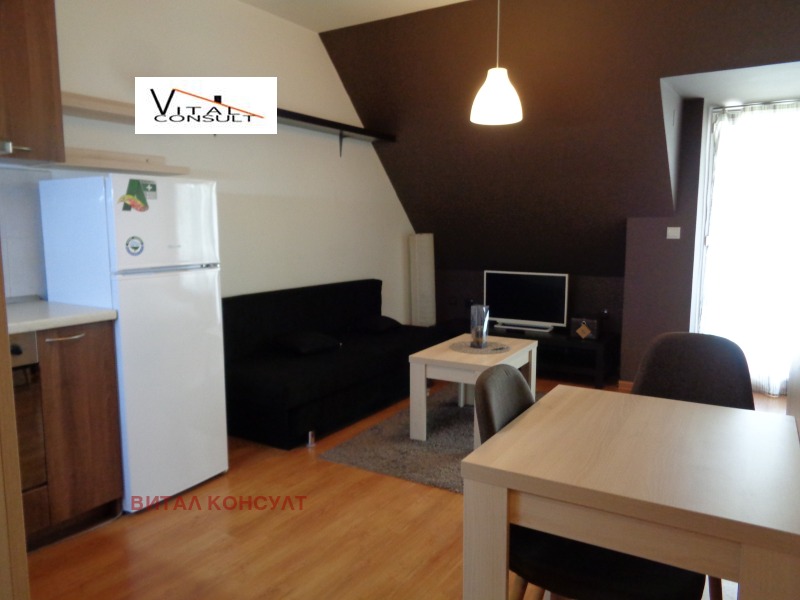 Продава АТЕЛИЕ, ТАВАН, гр. София, Борово, снимка 4 - Апартаменти - 52359514