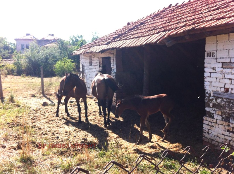 For Sale  House region Yambol , Mamarchevo , 150 sq.m | 72447280 - image [4]