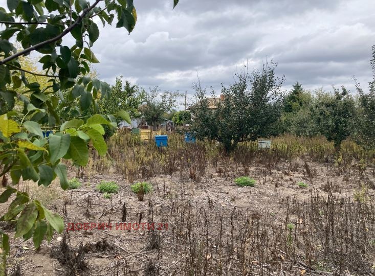 Продава КЪЩА, с. Дъбовик, област Добрич, снимка 4 - Къщи - 53069825