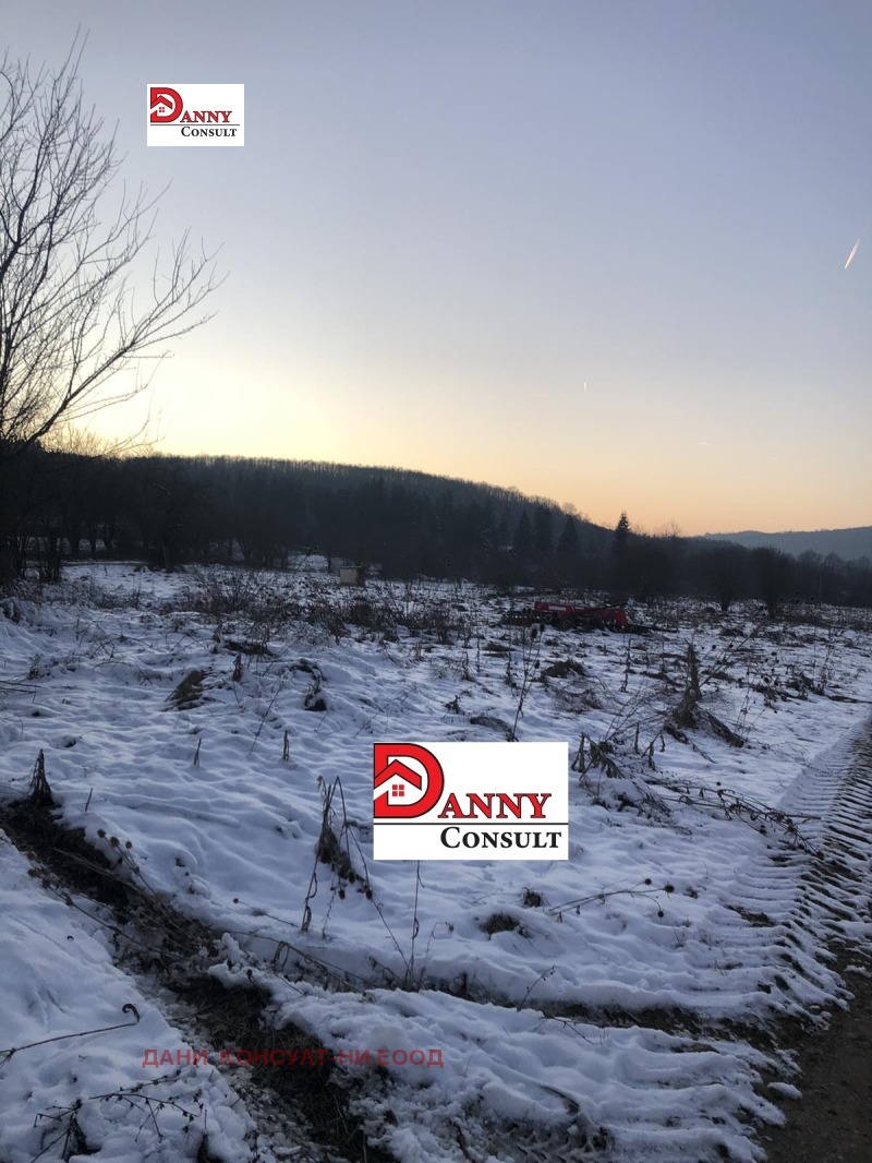 Продава ПАРЦЕЛ в област Велико Търново, гр. Елена - 24200 кв.м / 110 000 € » 215 141.30 лв., ДАНИ КОНСУЛТ-НИ ЕООД