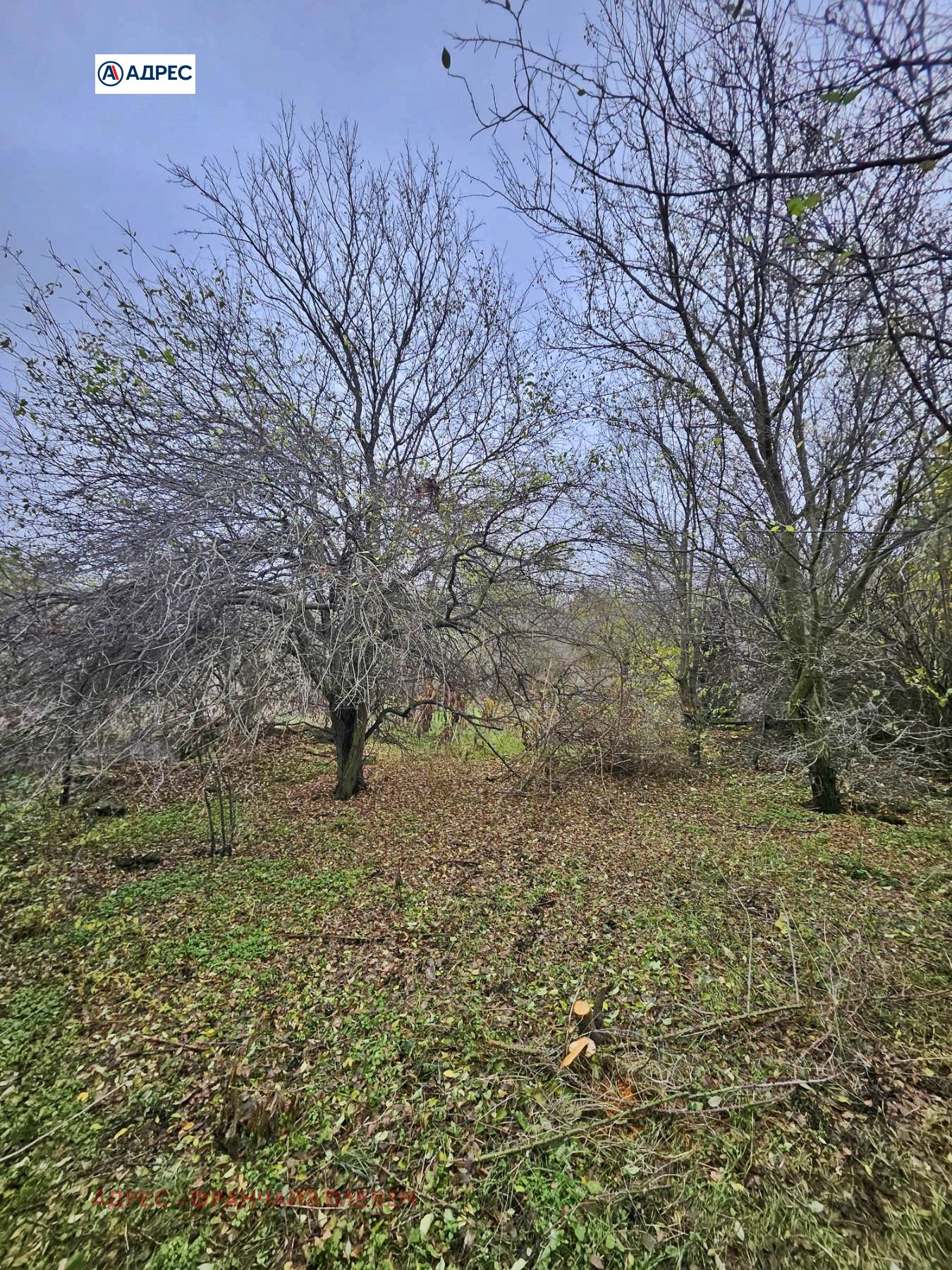 ������� ���� | Imot.bg � ����������� 3