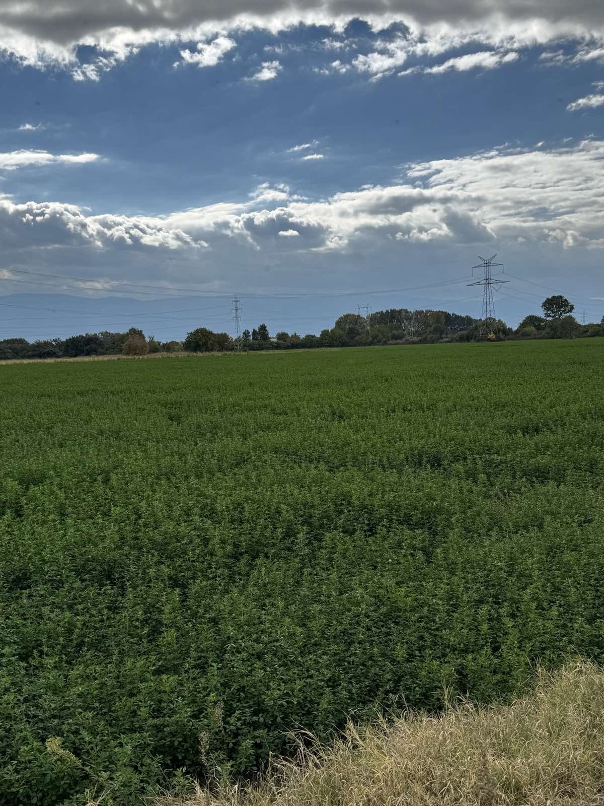 Продава ПАРЦЕЛ | Imot.bg — изображение 2