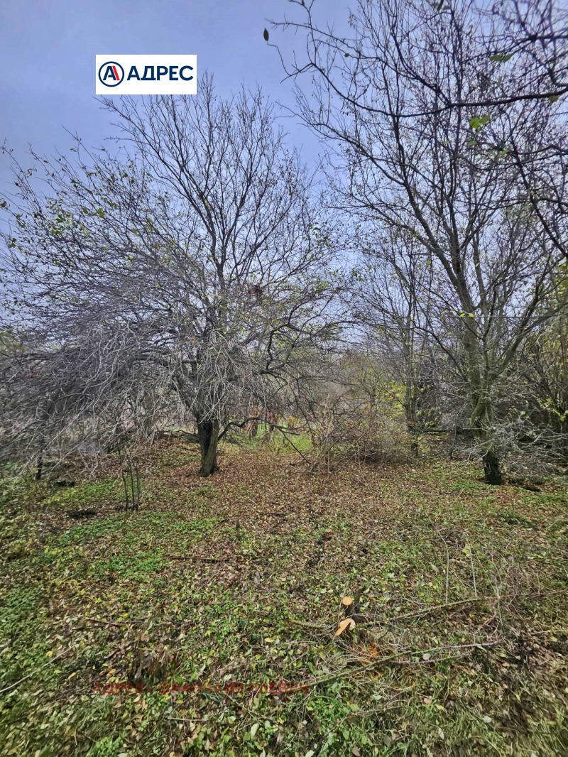 Продава КЪЩА, с. Тученица, област Плевен, снимка 3 - Къщи - 53172458