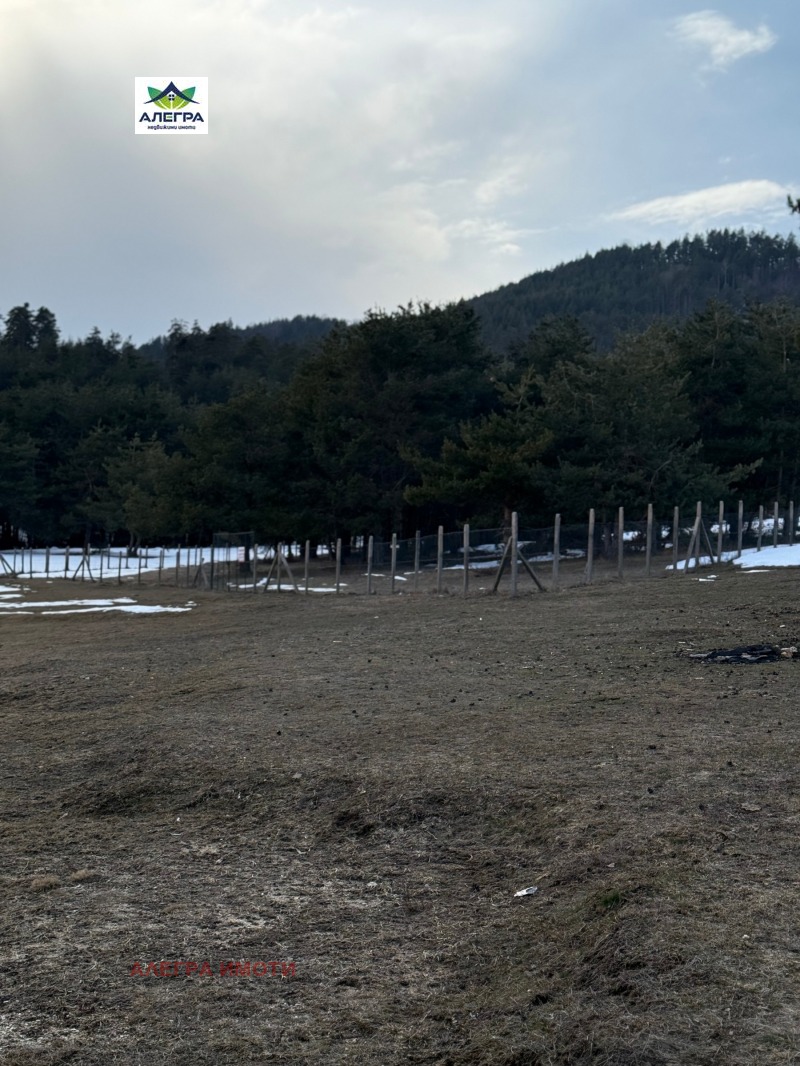 Продава ЗЕМЕДЕЛСКА ЗЕМЯ, гр. Батак, област Пазарджик