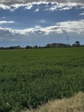 Продава ПАРЦЕЛ, с. Ягодово, област Пловдив, снимка 2