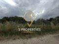 Продава ПАРЦЕЛ, с. Кранево, област Добрич, снимка 2