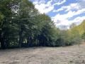 Продава ПАРЦЕЛ, област Ловеч, с. Рибарица • 56734 € • 94232402 — Holmes.bg