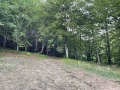 Продава ПАРЦЕЛ, област Ловеч, с. Рибарица • 56734 € • 94232402 — Holmes.bg