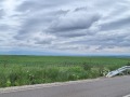 Продава ПАРЦЕЛ, град София, гр. Банкя • 371000 € / 725612.93 лв. • 39282447 3