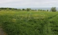 Продава  Парцел област Бургас , с. Резово , 8586 кв.м | 33068972 - изображение [5]