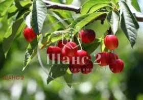 ������� �������/����� | Imot.bg � ����������� 4