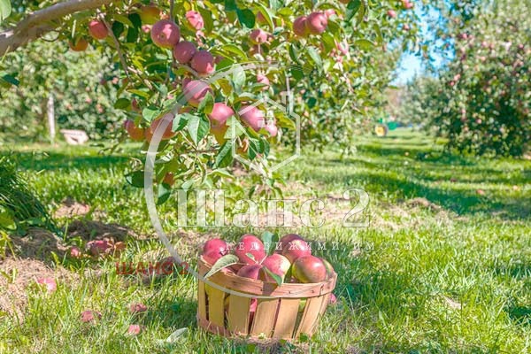 ������� �������/����� | Imot.bg � ����������� 3