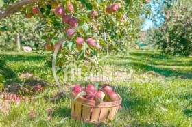 ������� �������/����� | Imot.bg � ����� ������ 3