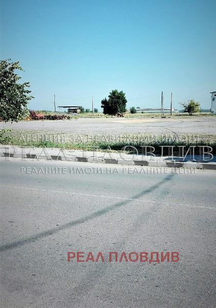 Продава  Заведение област Пловдив , с. Маноле , 1600 кв.м | 62761759 - изображение [9]