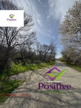 ����� ������� ������,��. �������, ������ ������