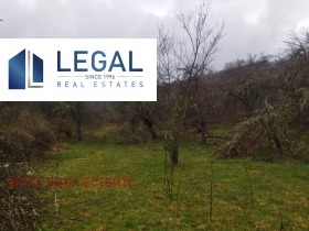 Grund Uglyartsi, region Pernik 7