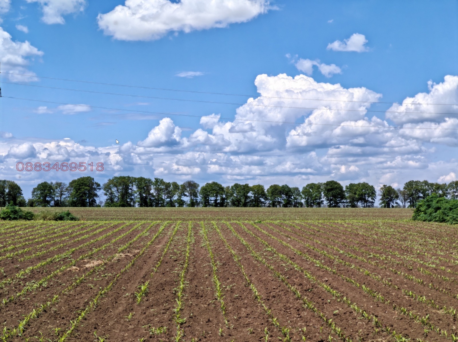 Продава ПАРЦЕЛ, с. Пчеларово, област Добрич, снимка 4 - Парцели - 55942260
