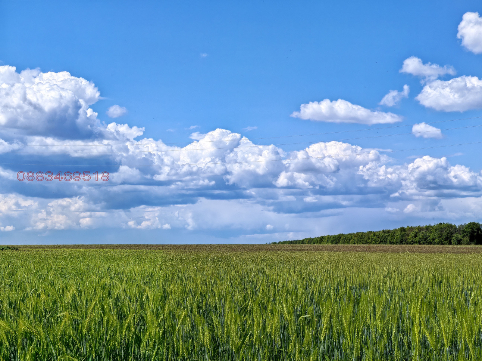 Продава ПАРЦЕЛ, с. Пчеларово, област Добрич, снимка 2 - Парцели - 55942260