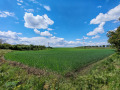 Продава ПАРЦЕЛ, с. Пчеларово, област Добрич, снимка 1