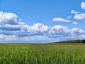 Продава ПАРЦЕЛ, с. Пчеларово, област Добрич, снимка 2