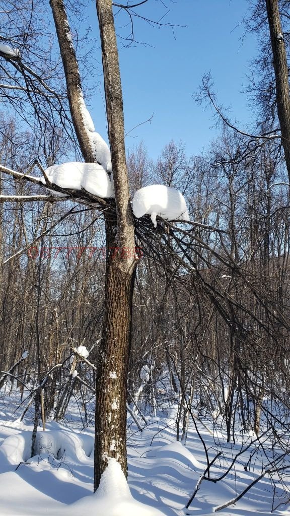 ������� ������ | Imot.bg � ����������� 2