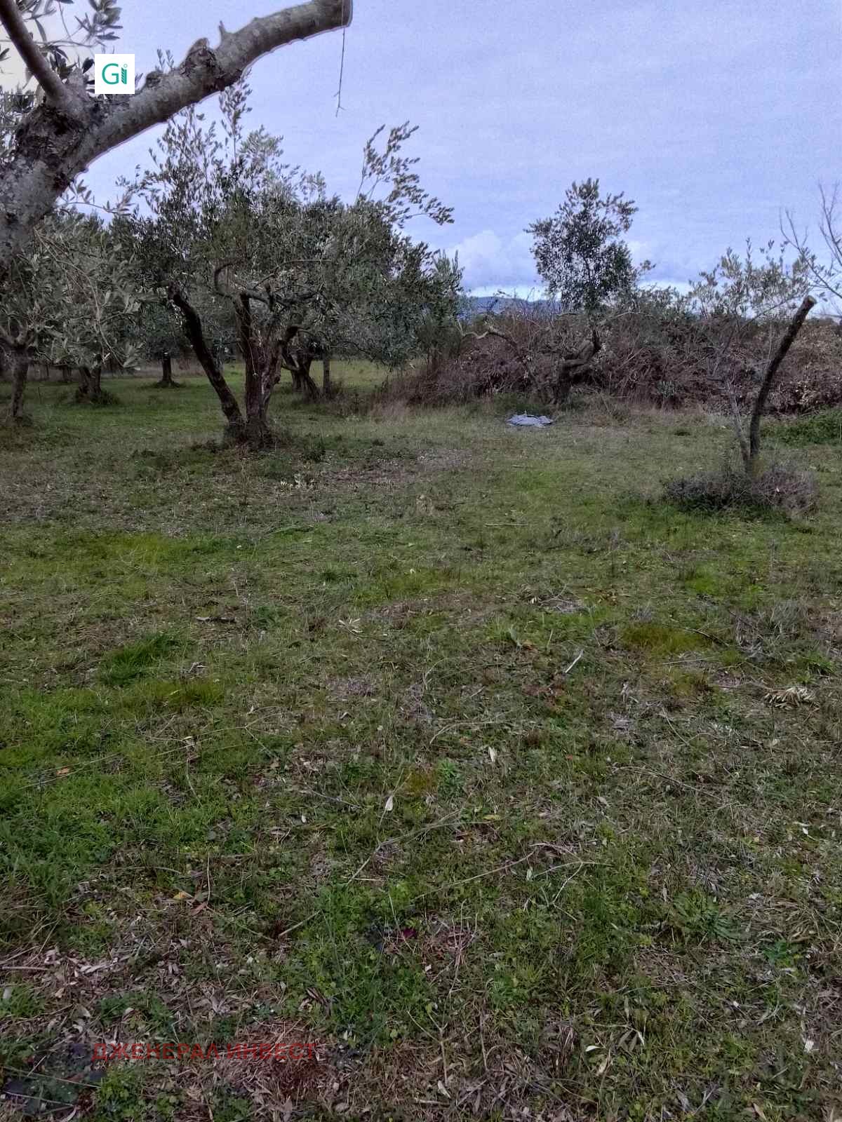 ������� ������ | Imot.bg � ����������� 1