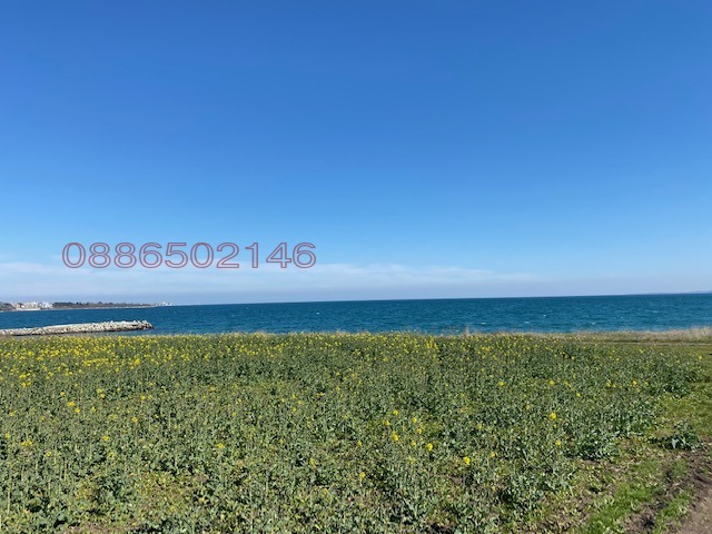 Продается  Сюжет область Бургас , Поморие , 3200 кв.м | 75062100