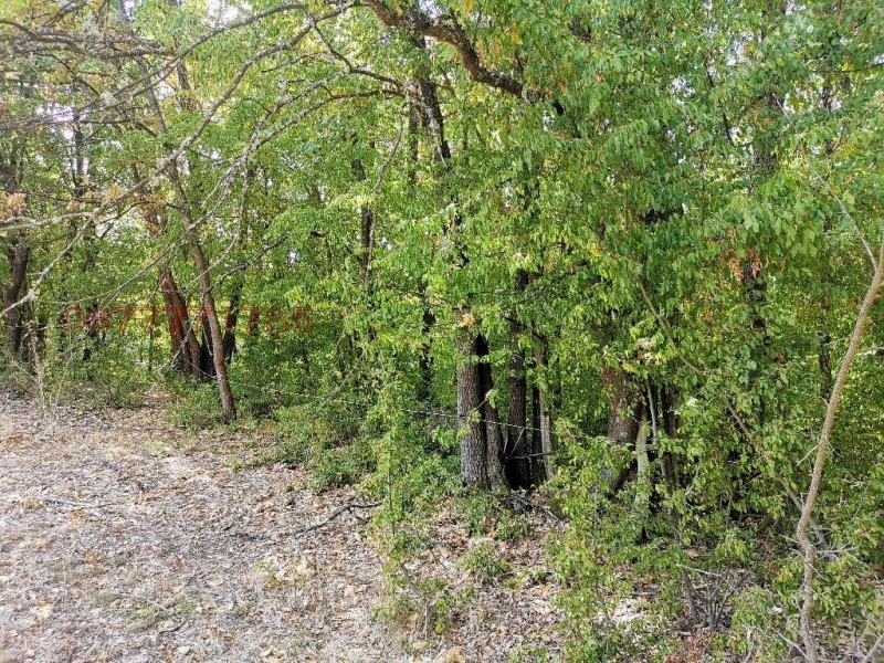À vendre  Parcelle région Sofia , Tchavdar , 3000 m² | 90891779 - image [3]