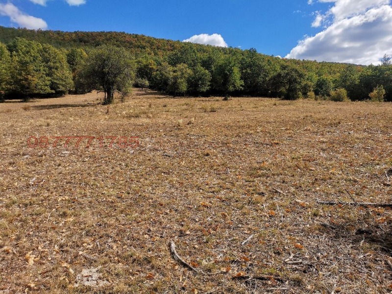 À vendre  Parcelle région Sofia , Tchavdar , 3000 m² | 90891779