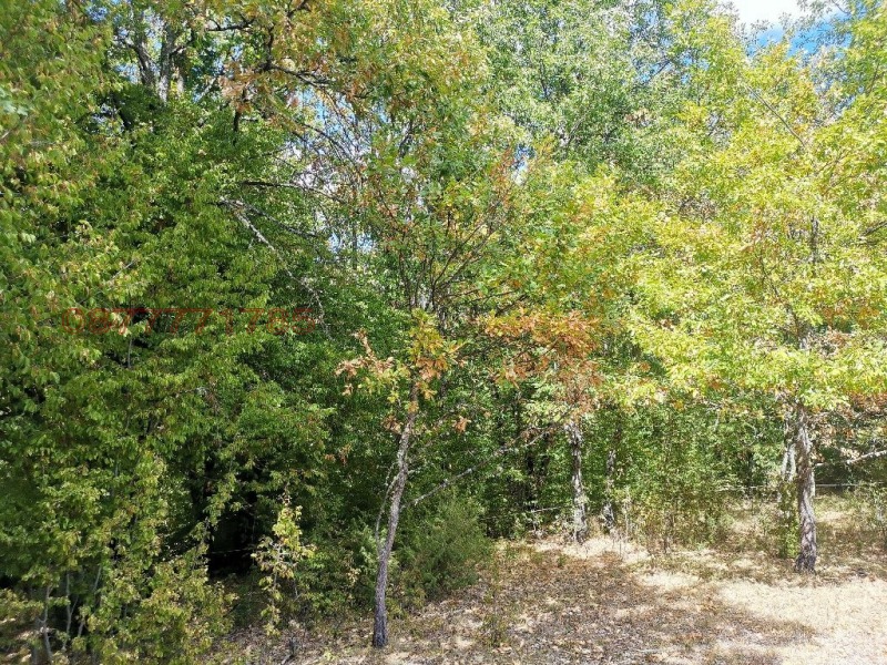 À vendre  Parcelle région Sofia , Tchavdar , 3000 m² | 90891779 - image [4]