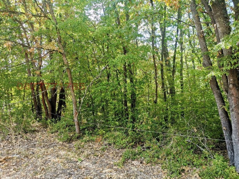 À vendre  Parcelle région Sofia , Tchavdar , 3000 m² | 90891779 - image [8]