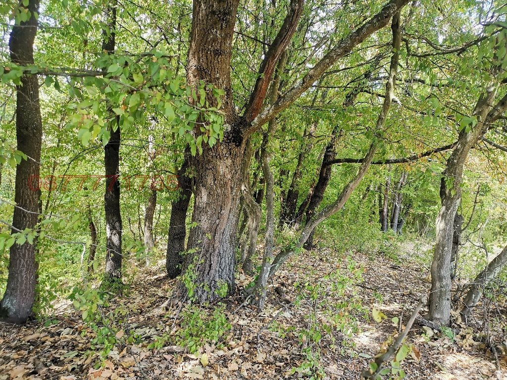 Продава ПАРЦЕЛ, с. Чавдар, област София област, снимка 9 - Парцели - 53922864