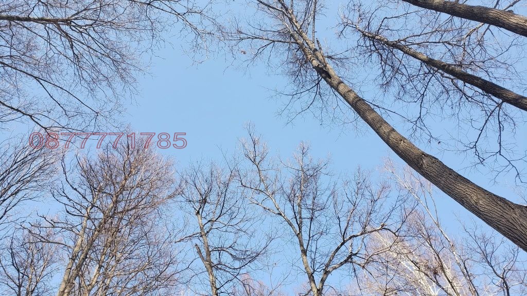 Продава ПАРЦЕЛ, с. Чавдар, област София област, снимка 2 - Парцели - 53922864